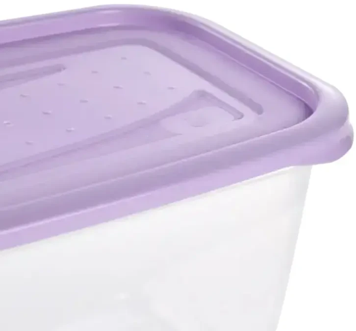 Keeeper Food container set rectangular 4x0,75L Fredo "Fresh" transparent/light violetinė