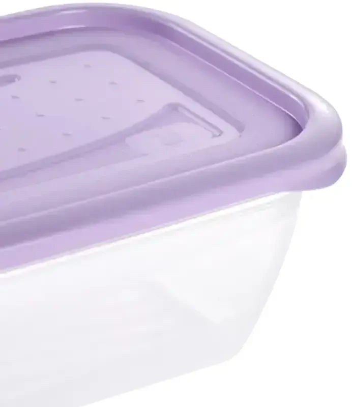 Stoneline Keeeper Food container set rectangular 5x0.5L Fredo "Fresh" transparent/light violetinė