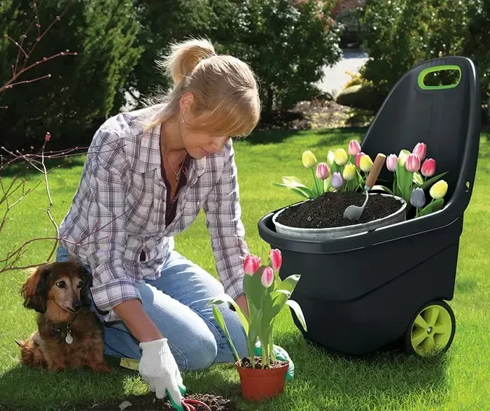 KETER SODO KARUTIS EASY GO XL 62L