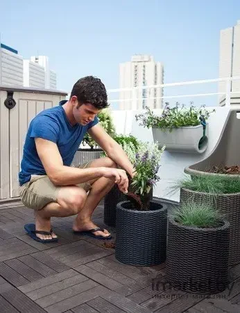 Keter S+M+LCYLINDER PLANTERS, 230217