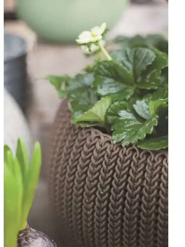 Keter COZIES KNIT gėlių vazonas - šviesiai rudas