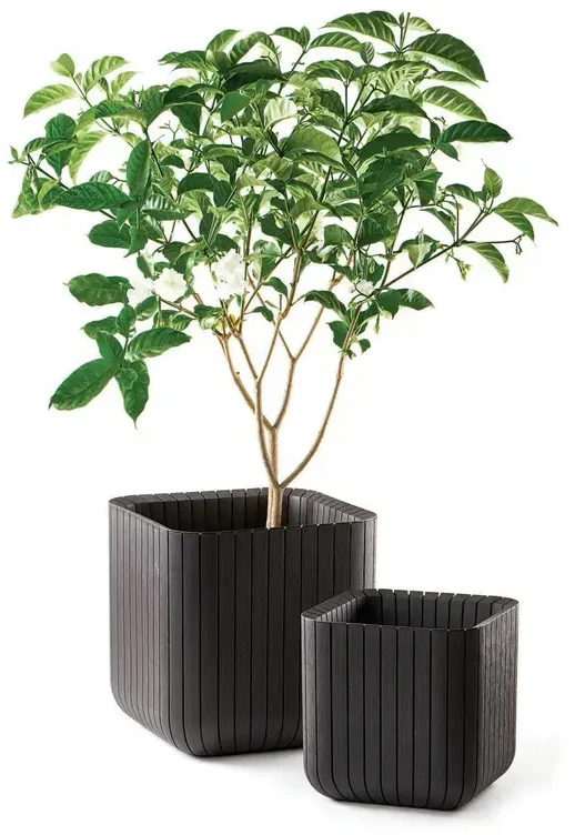 Keter Curver Cube Planter L Ruda (229533)