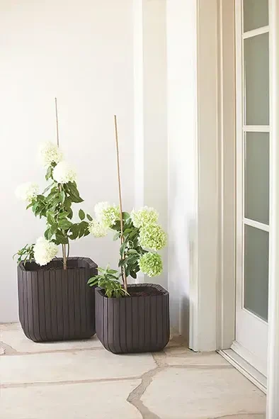 Keter Curver Cube Planter L Ruda (229533)