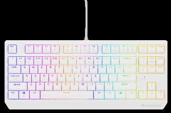 GNS GENESIS Thor 230 TKL klaviatūra Žaidimams USB QWERTY Anglų (JAV) Balta