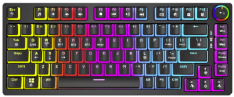 Belaidė mechaninė klaviatūra - SAVIO PHENIX Gateron Geltona Pro Pudding