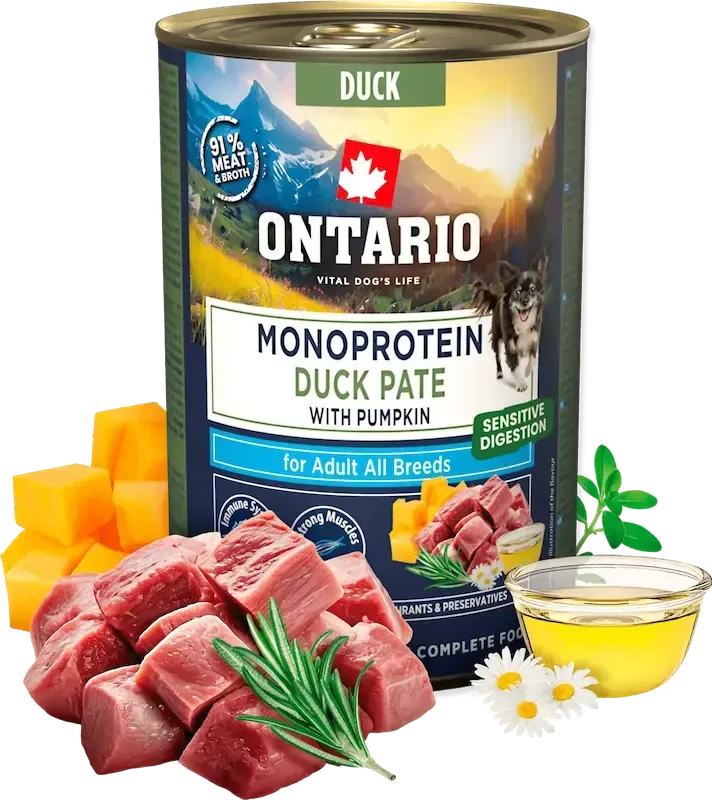 Ontario Adult Monoprotein Antienos paštetas su Moliūgu 400g