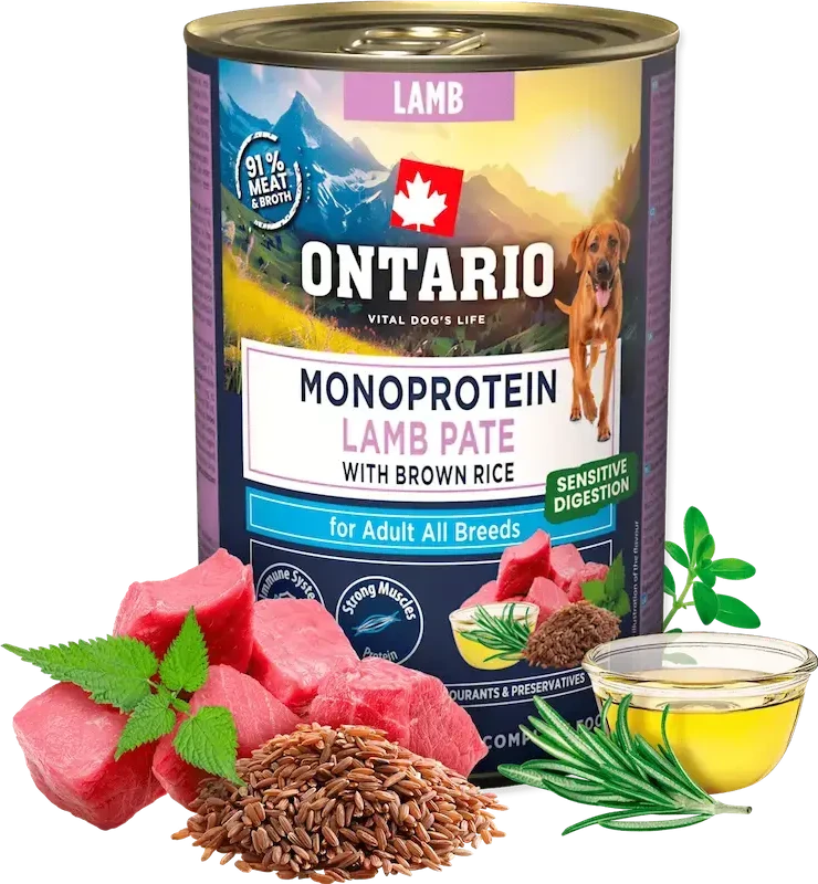 Ontario Adult Monoprotein Ėrienos paštetas su Rudaisiais Ryžiais 400g
