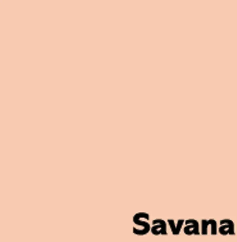Krāsains papīrs IMAGE COLORACTION, A4, 80 gsm, 50 loksnes, SAVANA / PALE SALMON