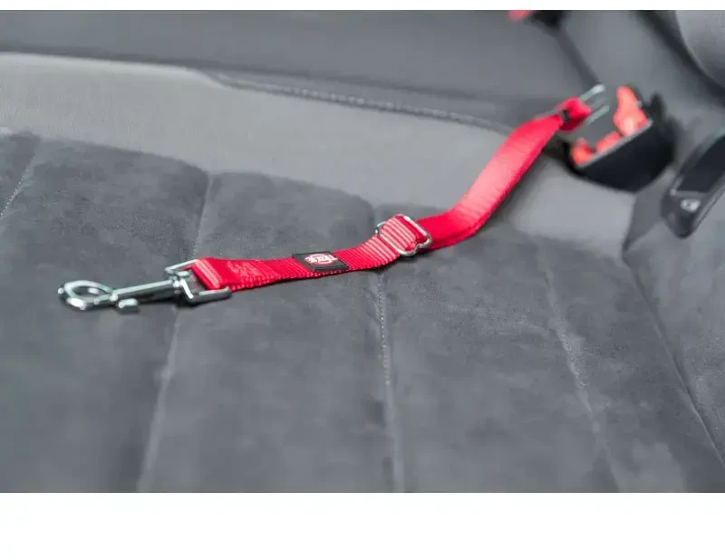 Trixie Automobilinės petnešos katei