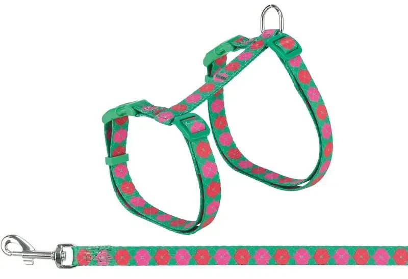 Trixie katės petnešos su pavadėliu, katei, „Flower Power“, 35–59 cm/13 mm, 1,20 m, skirtungos spalvos