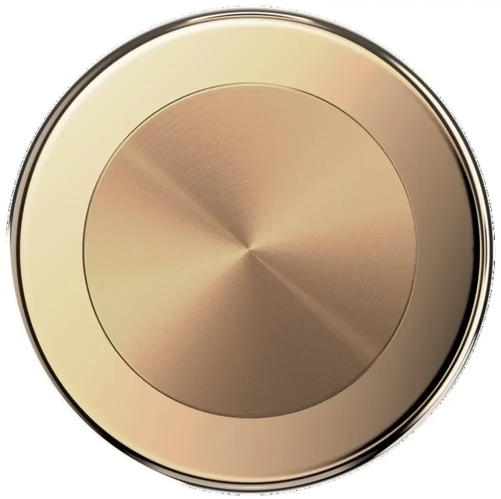 Laikiklis skirtas telefonui Popsockets Round Radial Gold Aluminum MagSafe 807259