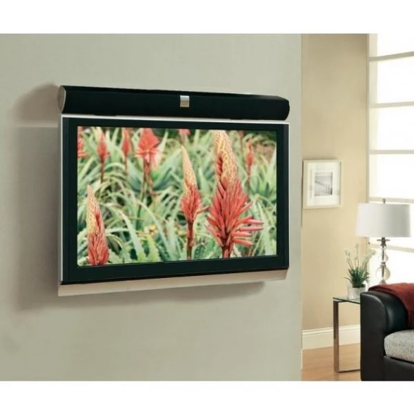 Techly ICA-PLB 102S televizoriaus laikiklis Juoda