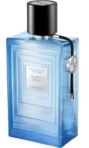 Lalique Les Compositions Parfumees Glorious Indigo EDP parfumuotas vanduo unisex, 100 ml