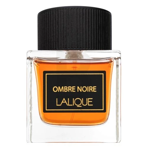 Kvepalai vyrams Lalique Ombre Noire EDP, 100 ml