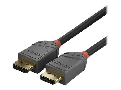 Lindy DisplayPort kabelis. M/M. Antracito linijos. 2,0 m.