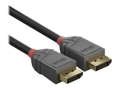 Lindy DisplayPort kabelis. M/M. Antracito linijos. 2,0 m.