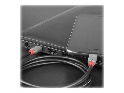 USB Kabelis - LINDY Anthra Line USB 2.0 Type C į Micro-B Laidas, M/M, 2.5W, 480Mbps, 1 m, Juodas