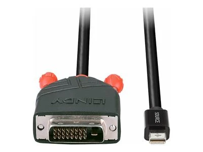 Lindy Adapteris - Mini DisplayPort į DVI 1m 1920x1200@60Hz Nikelio Danga