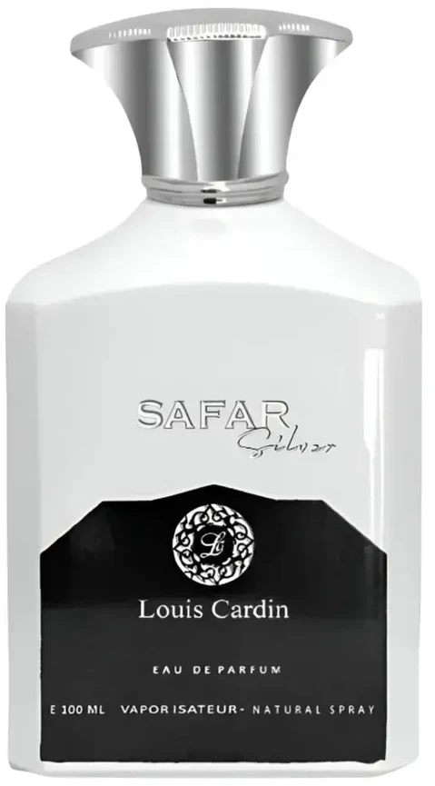 Louis Cardin Safar Sidabrinis EDP parfumuotas vanduo vyrams, 100 ml