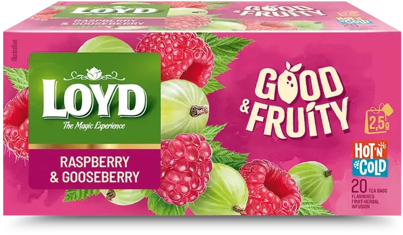 Loyd LOYD Arbata karštam ir šaltam gėrimui avietė & agrastas 20x2,5g