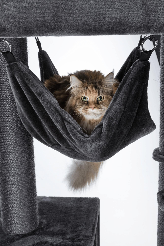 Trixie Scratching Post Amadeus XXL, 163 cm, pilka