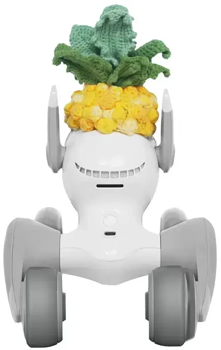 Megztas kostiumas Loona Premium Pineapple