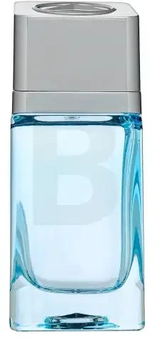 Mercedes-Benz Select Day EDT tualetinis vanduo vyrams, 100 ml