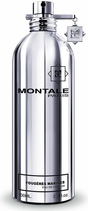 Montale Paris Montale Fougeres Marine EDP parfumuotas vanduo Unisex, 100 ml