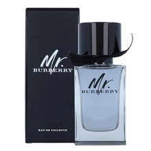 Mr. Burberry EDT tualetinis vanduo vyrams, 150 ml