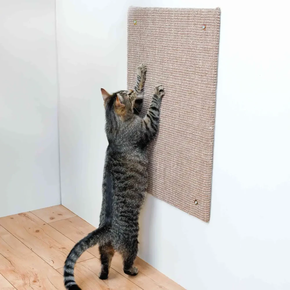 Trixie Scraching Post, 50 × 70 cm, ruda