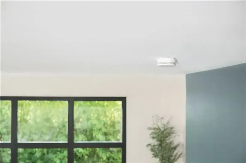 Netatmo Dūmų signalizacija