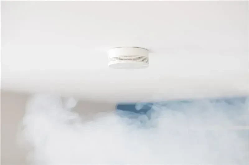 Netatmo Dūmų signalizacija
