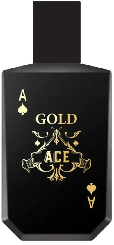 Christopher Dark NEW BRAND Intence Gold Ace Vanduo toaletowa vyriška 100 ml