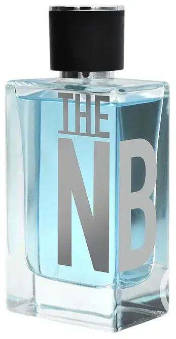 Narciso Rodriguez New Brand The NB Eau De Toilette 100 ml For Men