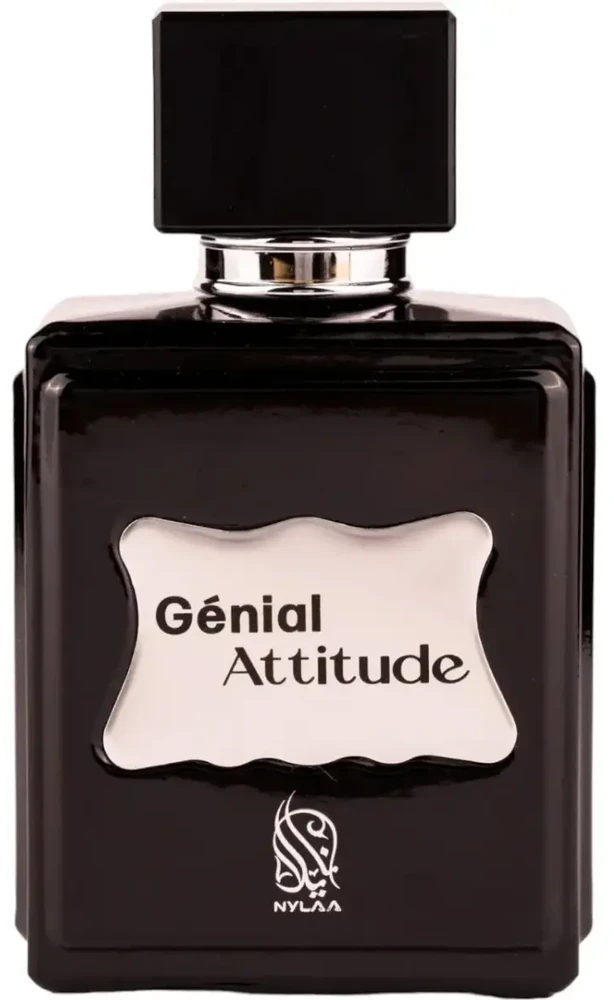 Nylaa Genial Attitude EDP parfumuotas vanduo vyrams, 100 ml