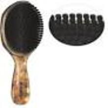 Olivia Garden Barber Palm Wave