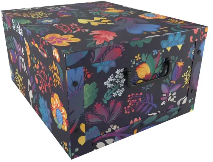 Aptel Butas ORDINETT Kaste kartonas 49x39x25cm Didelė dėžutė Fantasy asorti 1201041