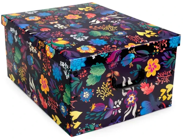 Aptel Butas ORDINETT Kaste kartonas 49x39x25cm Didelė dėžutė Fantasy asorti 1201041