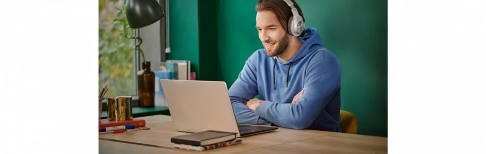 Panasonic BT ausinės RB-HX220BDES