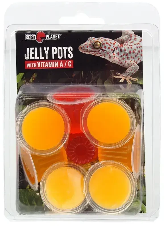 REPTI PLANET vaisių pokalbis gėlėms