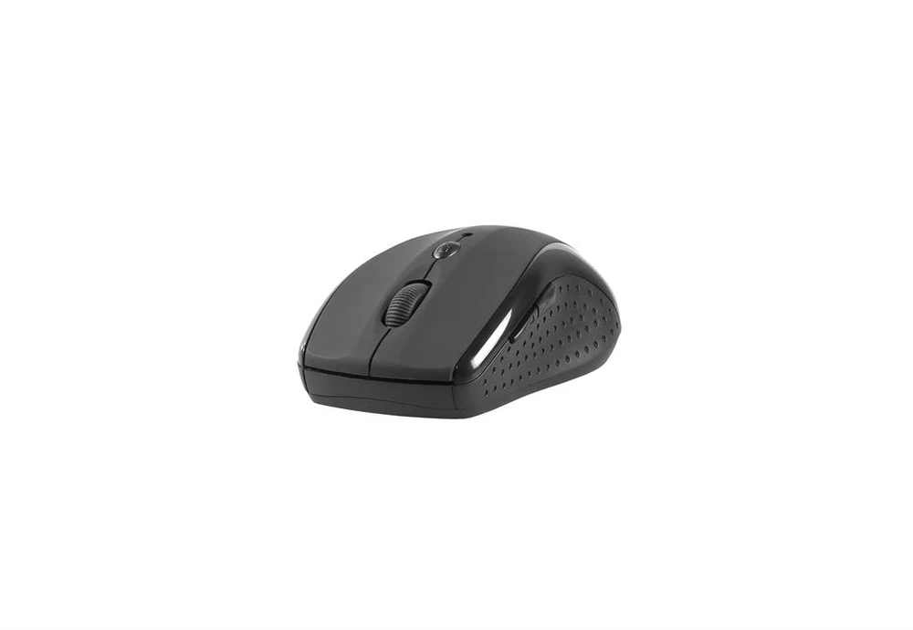 TRACER TRAMYS44901 Pelė Optinė belaidė Blaster II Juodas RF NANO 24GHz 1600 dpi