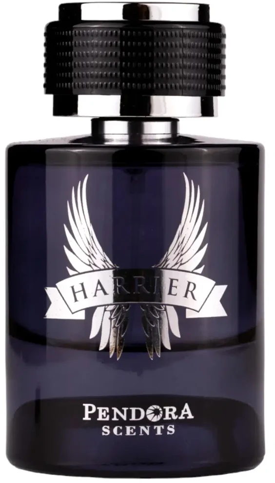 Pendora Scents Harrier EDP parfumuotas vanduo vyrams, 100 ml