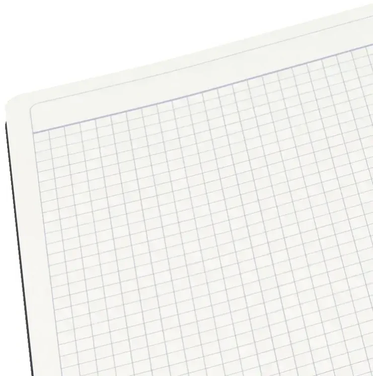 Užrašų knygelė LEITZ COMPLETE Ipad dydžio, 80 lapų, langeliai