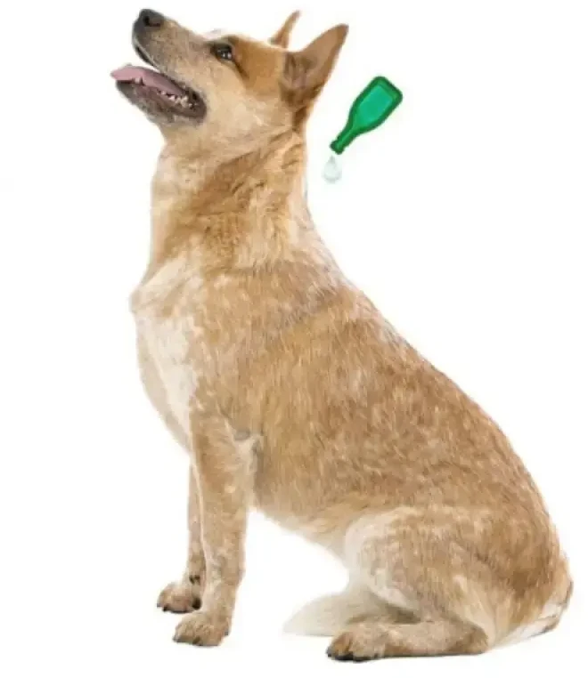 Beaphar BEA NEEM SPOT ON PUPPY 3XF