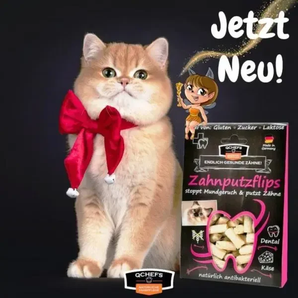QCHEFS kačių skanėstas Dental Flips 40 g