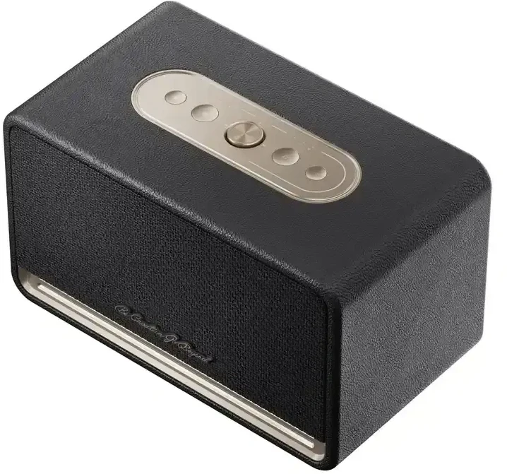 QCY SP300 belaidė kolonėlė (juodas)