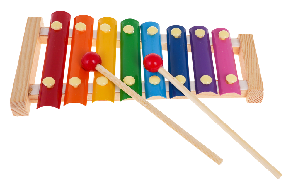 Ramiz Medinis Rinkinys Instrumentów vaikams 2+ Kuprinė + Muzikos instrumentai 22 el.