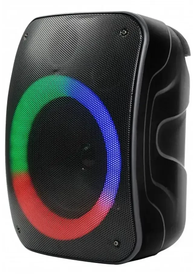Rebeltec Bluetooth garsiakalbis STAGE 300 juodas