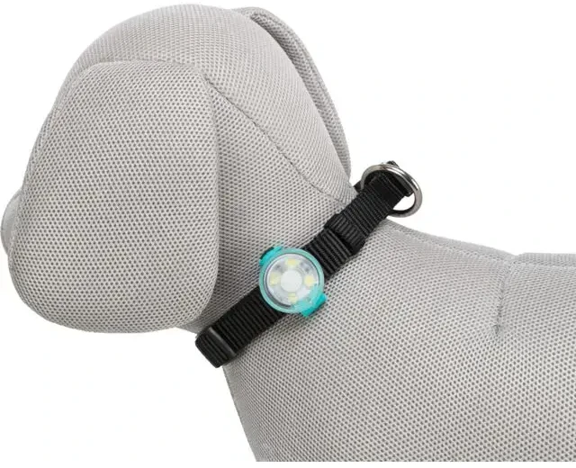 Trixie Flasher USB, šviesus pakabukas šunims, 3 × 8 cm