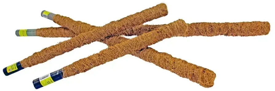 Rim Kowalczyk Kokoso lazdelė 80 cm